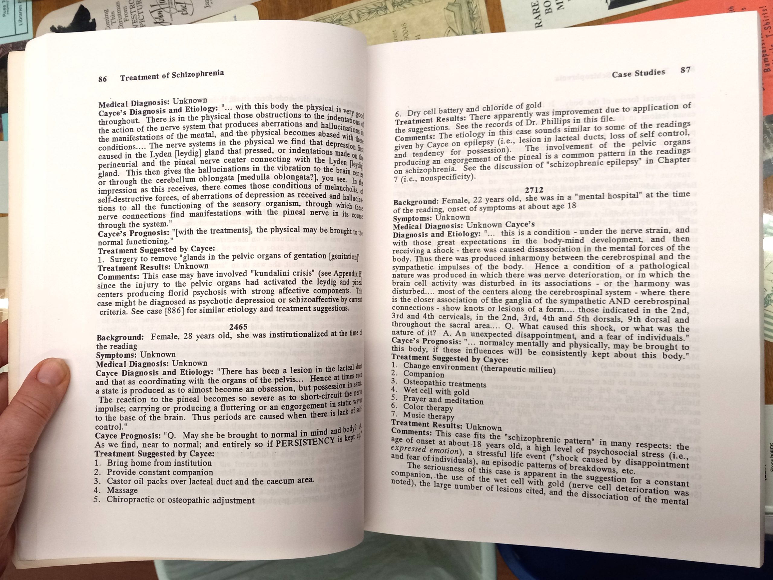 The Treatment of Schizophrenia A Holistic Approach pages