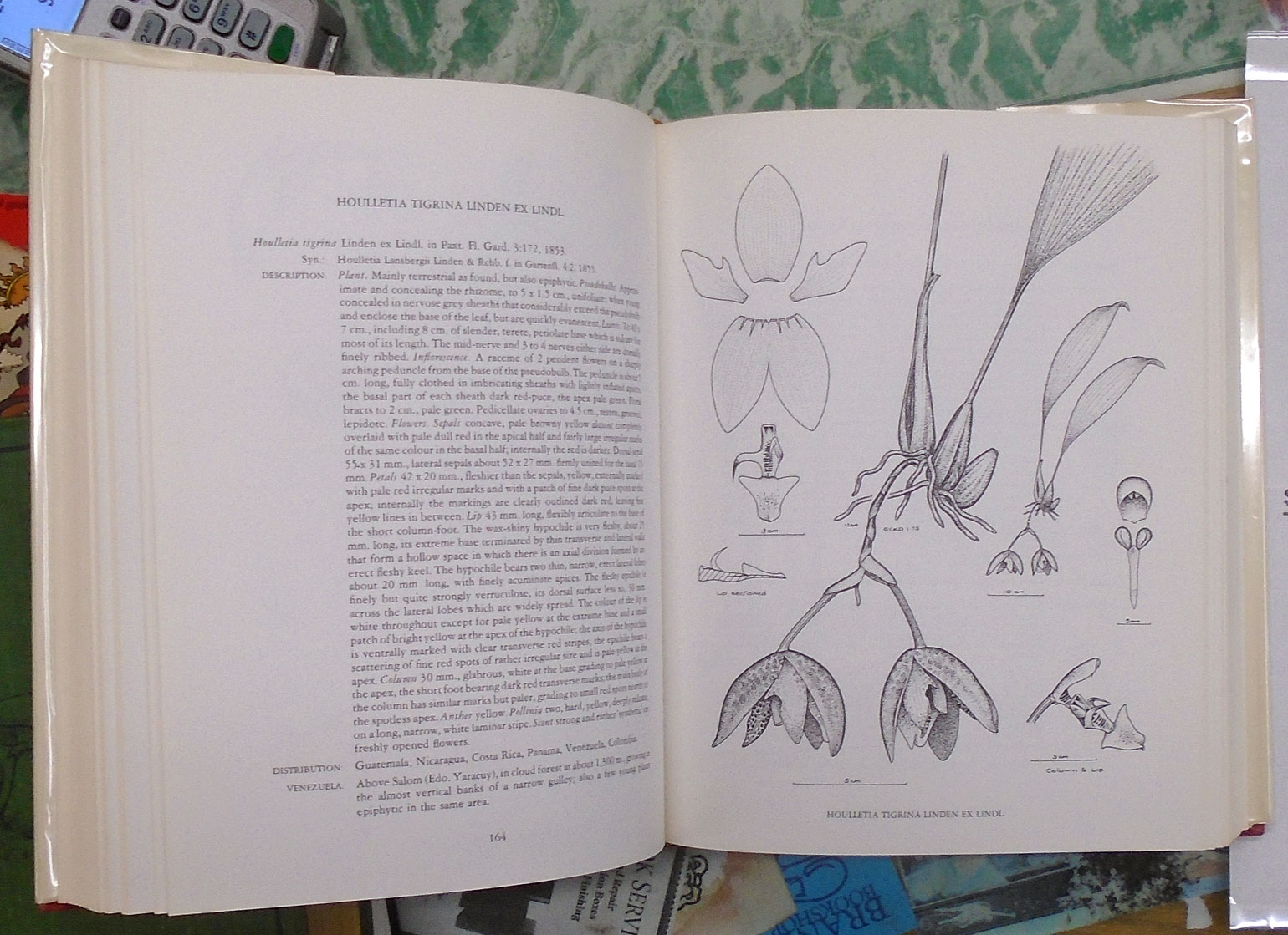 Venezuelan Orchids pages