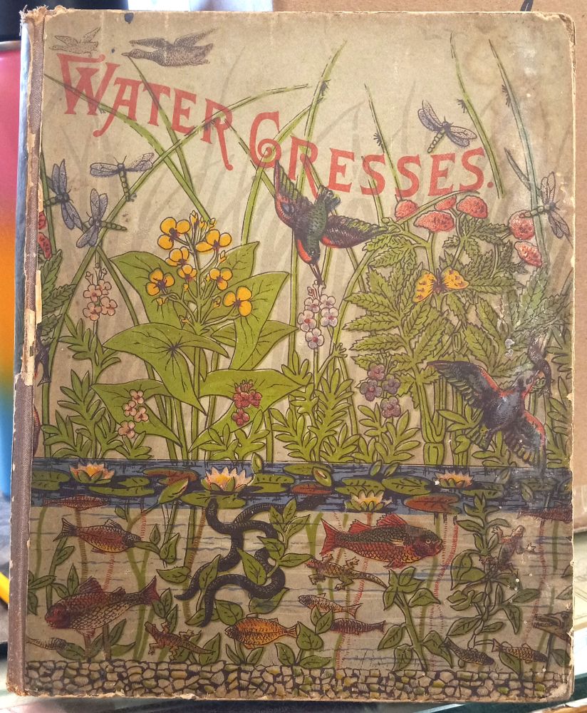 Water-Cresses front cover