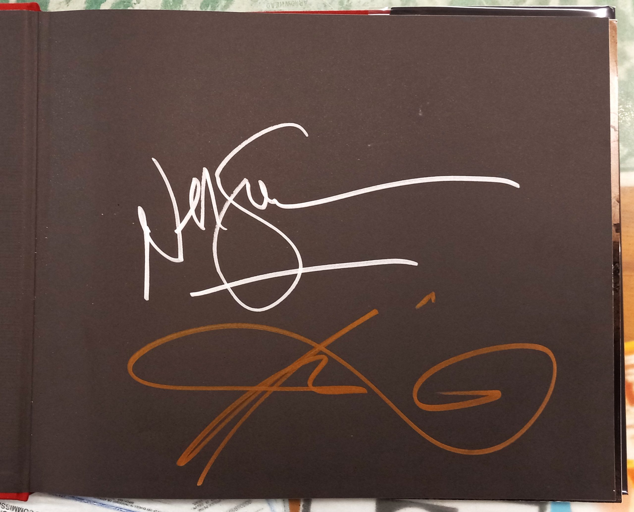 Who Killed Amanda Palmer authors' signatures on front free endpaper