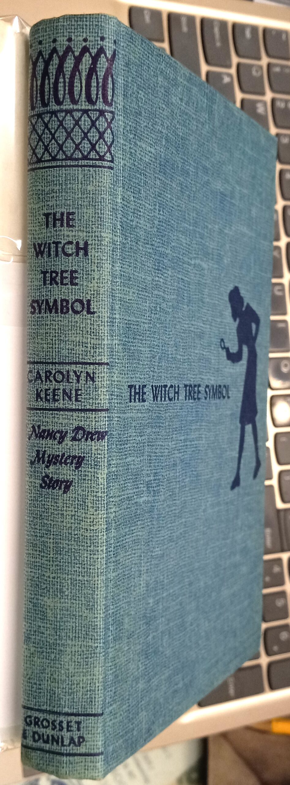 The Witch Tree Symbol binding spine and front board