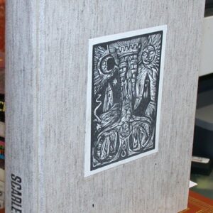 XVI binding spine and front board