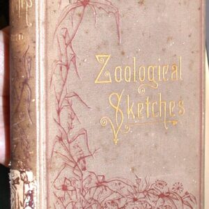 Zoological Sketches binding spine and front board