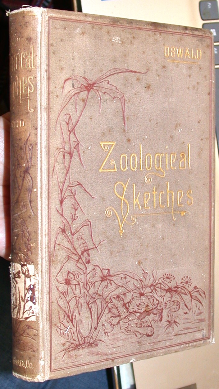 Zoological Sketches binding spine and front board