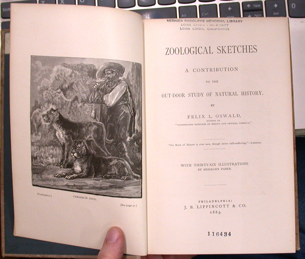 Zoological Sketches frontispiece and title page