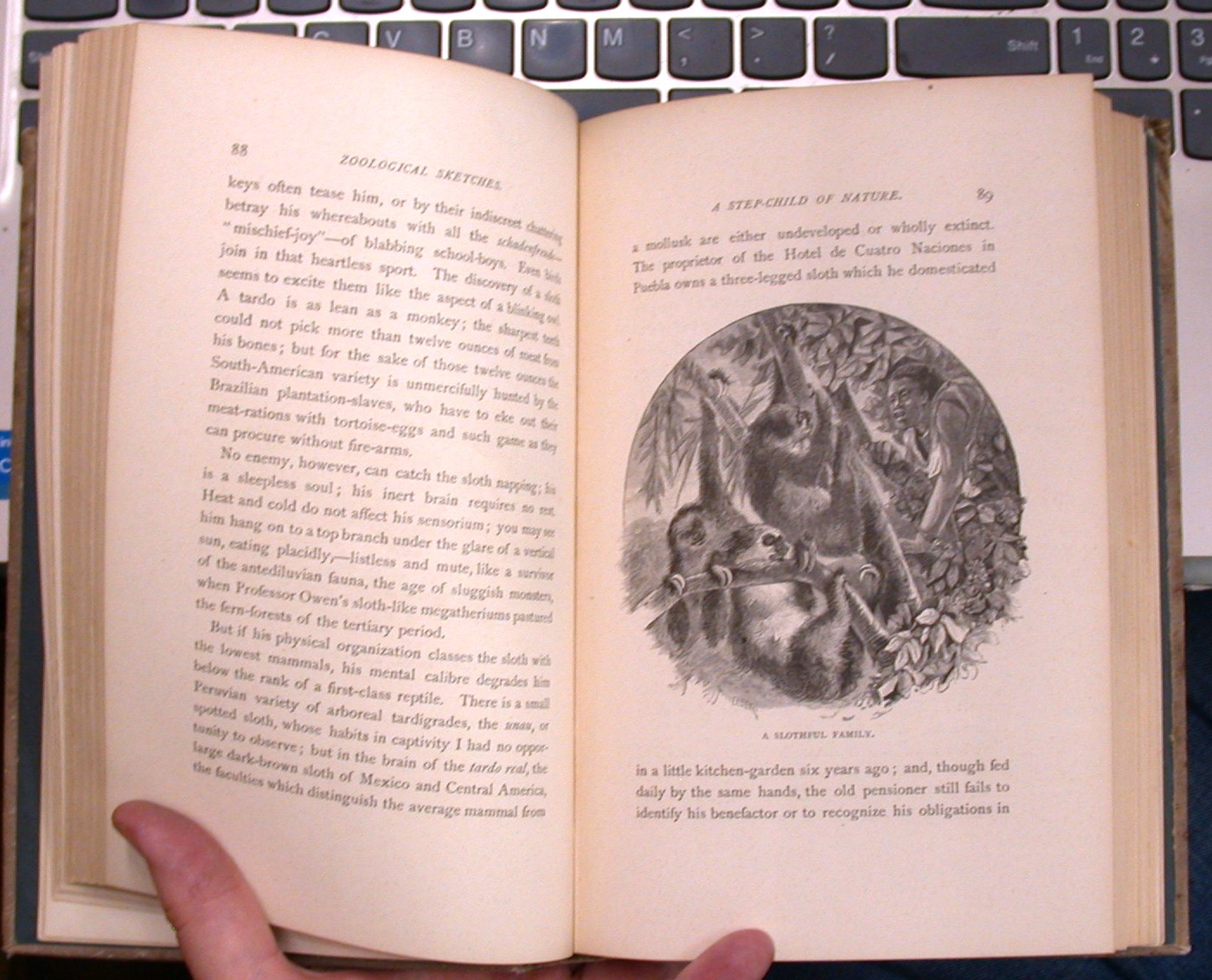 Zoological Sketches pages with illustration