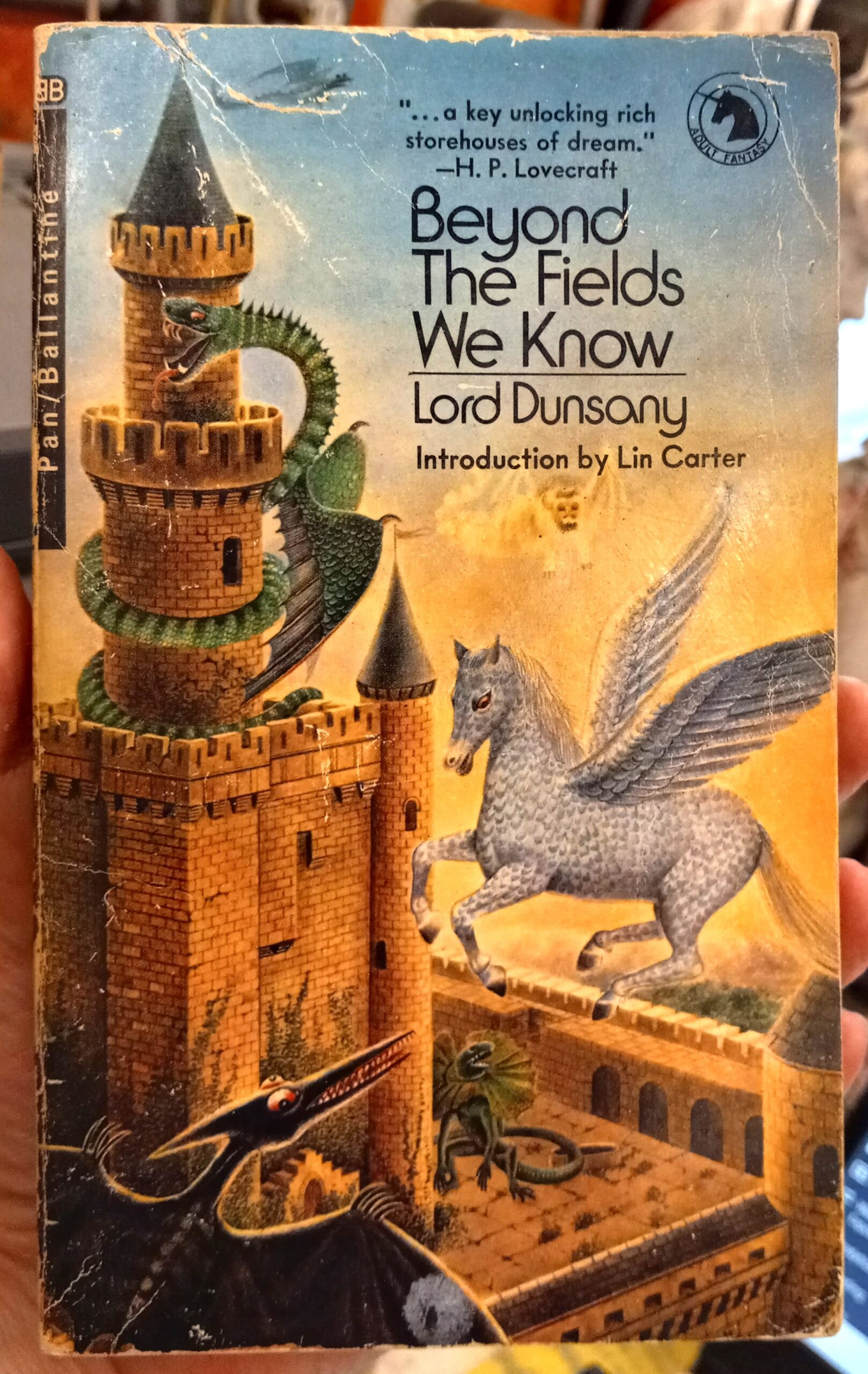 Beyond the Fields We Know front cover