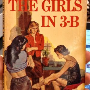 The Girls in 3-B front cover
