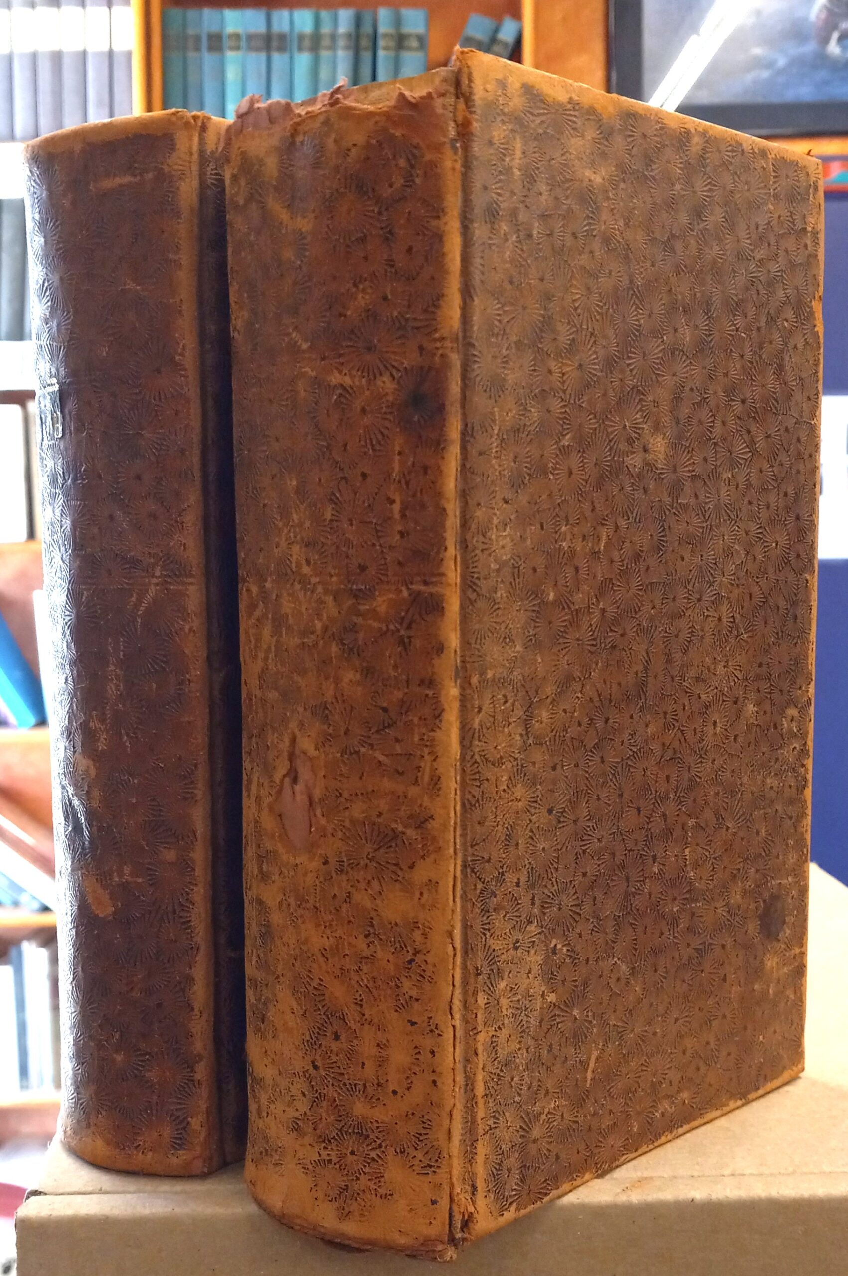 The Works of Samuel Johnson spines of both volumes and front board of one volume