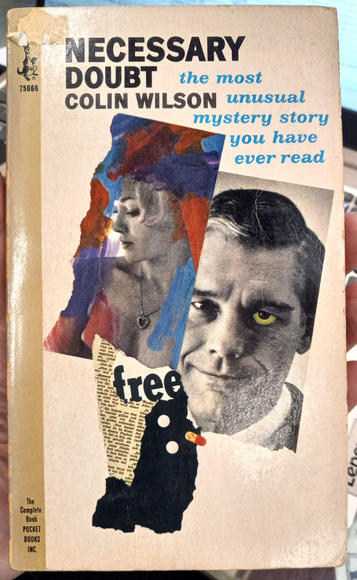 Necessary Doubt front cover