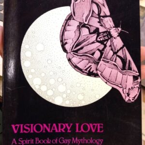 Visionary Love front cover