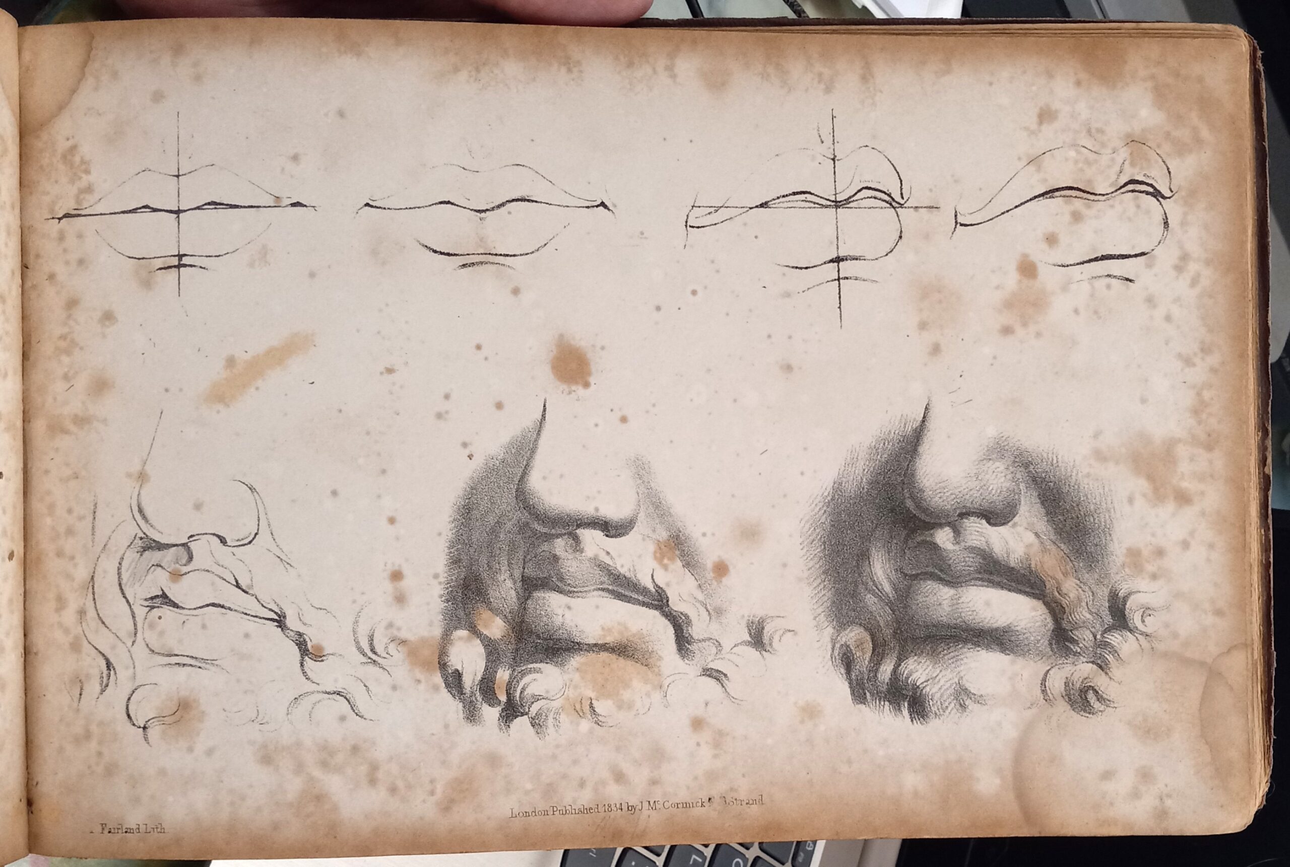 The New Progressive Drawing Book of the Human Figure pages