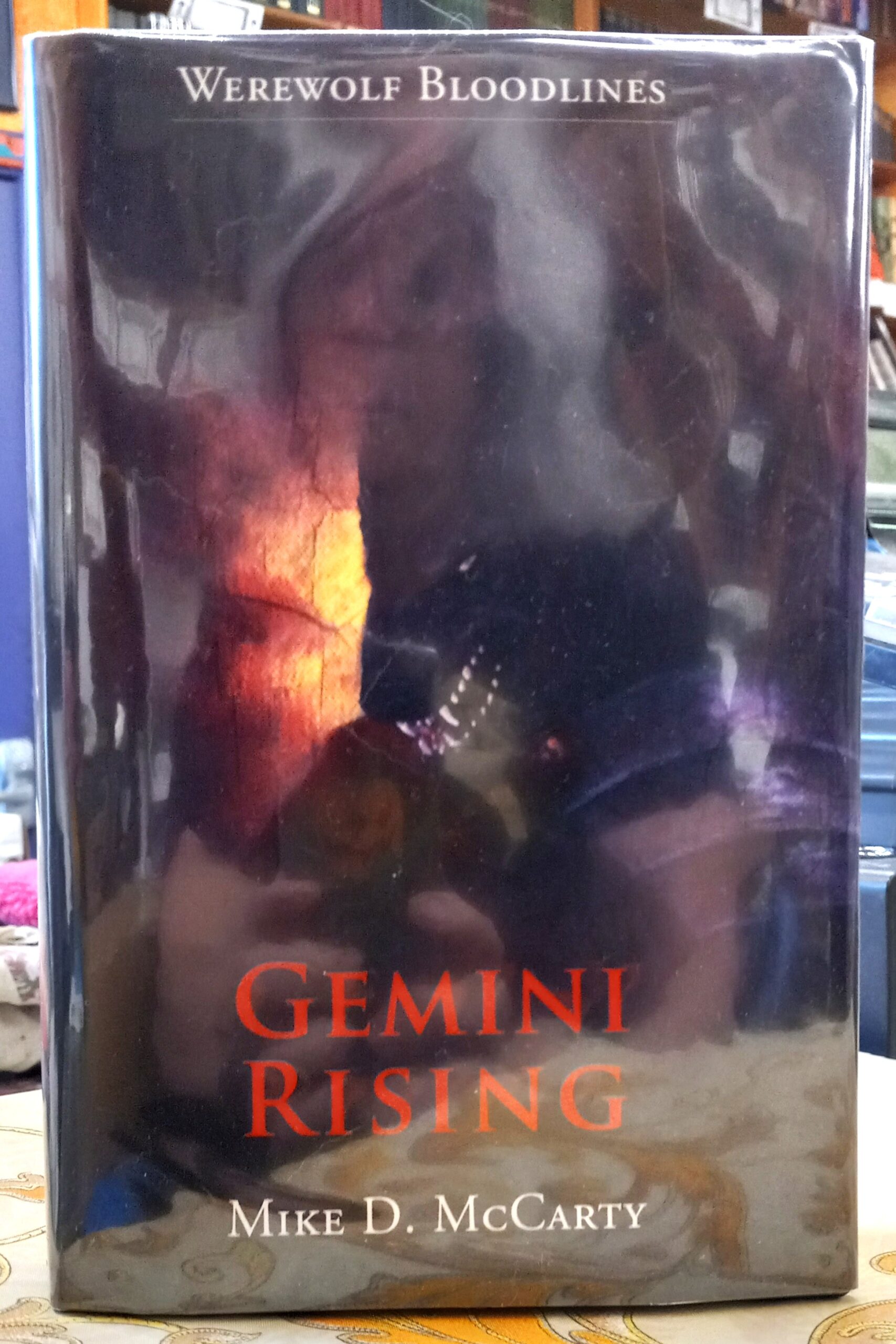 Gemini Rising jacket front