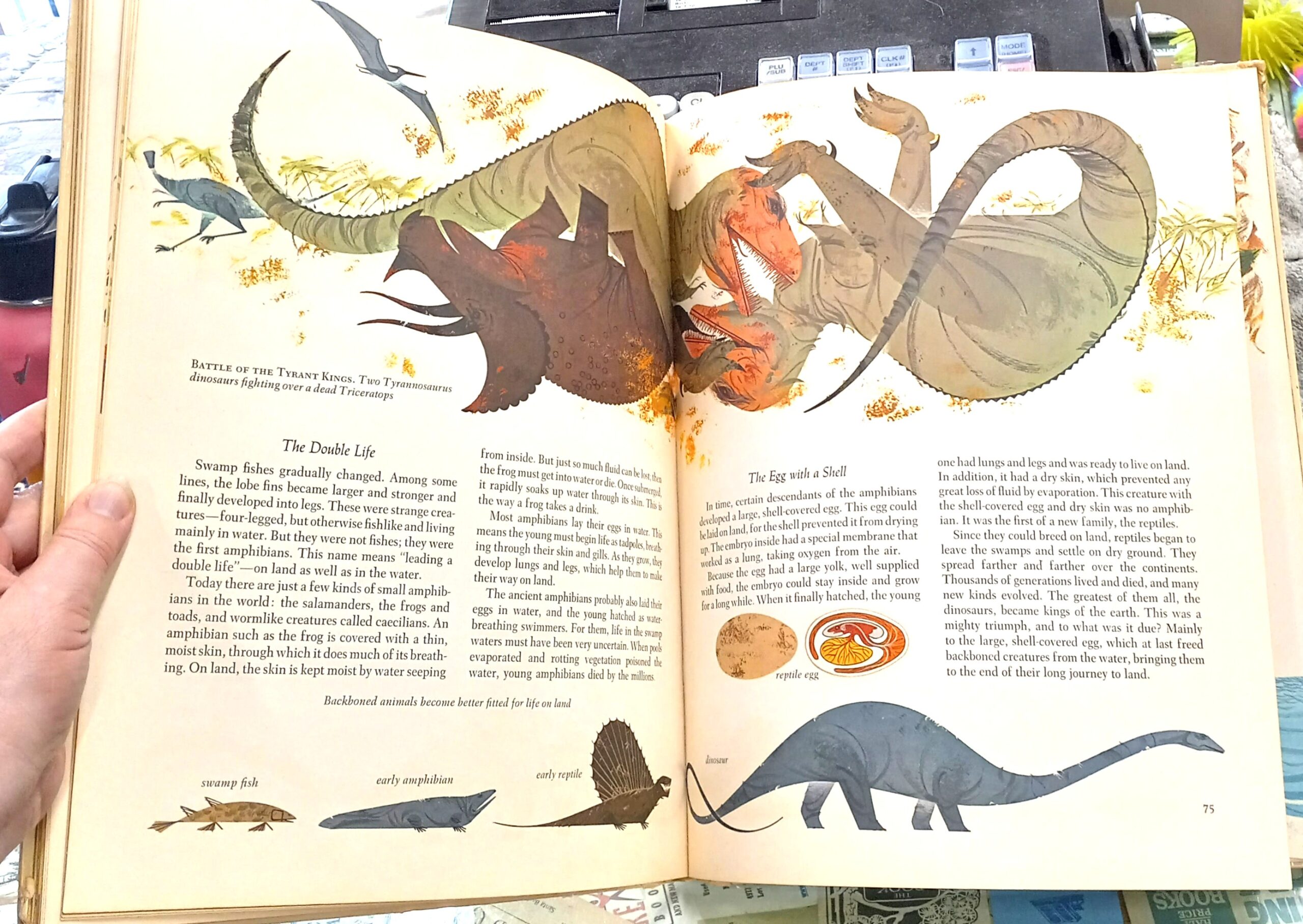 Ames, Gerald; Wyler, Rose; Harper, Charles (illustrations): The Giant Golden Book of Biology: An Introduction to the Science of Life - Image 2